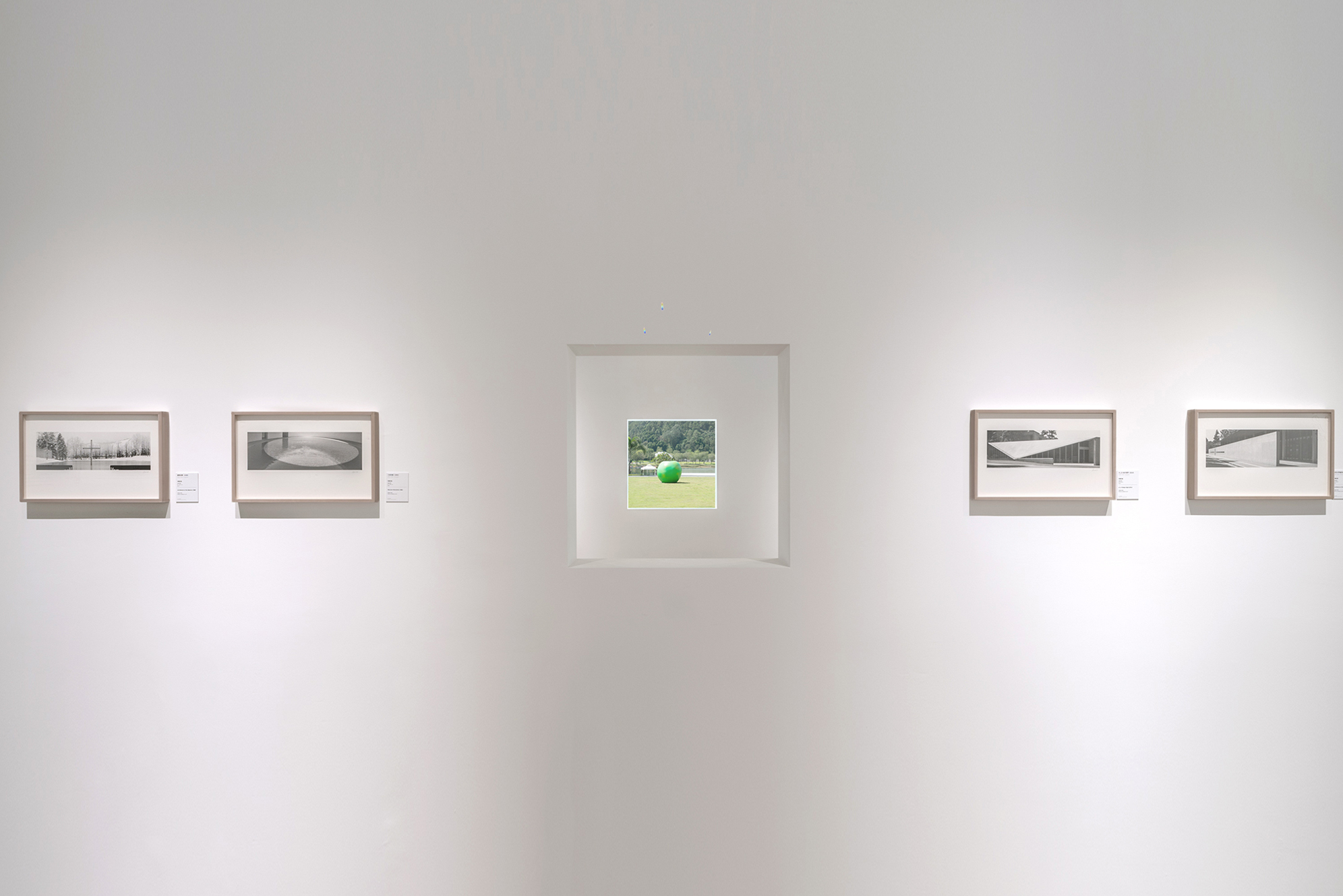 DSCF60861副本.jpg